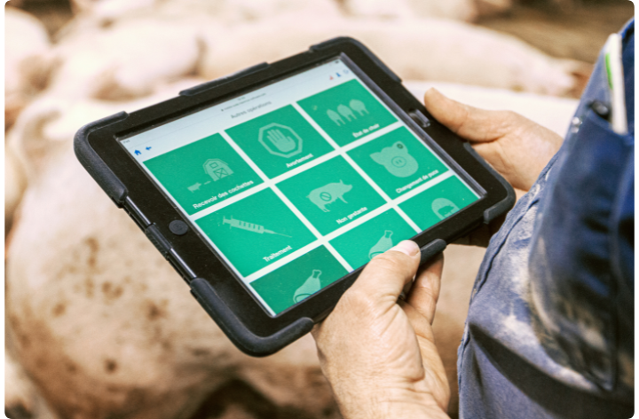 swine management software ipdad all language.png